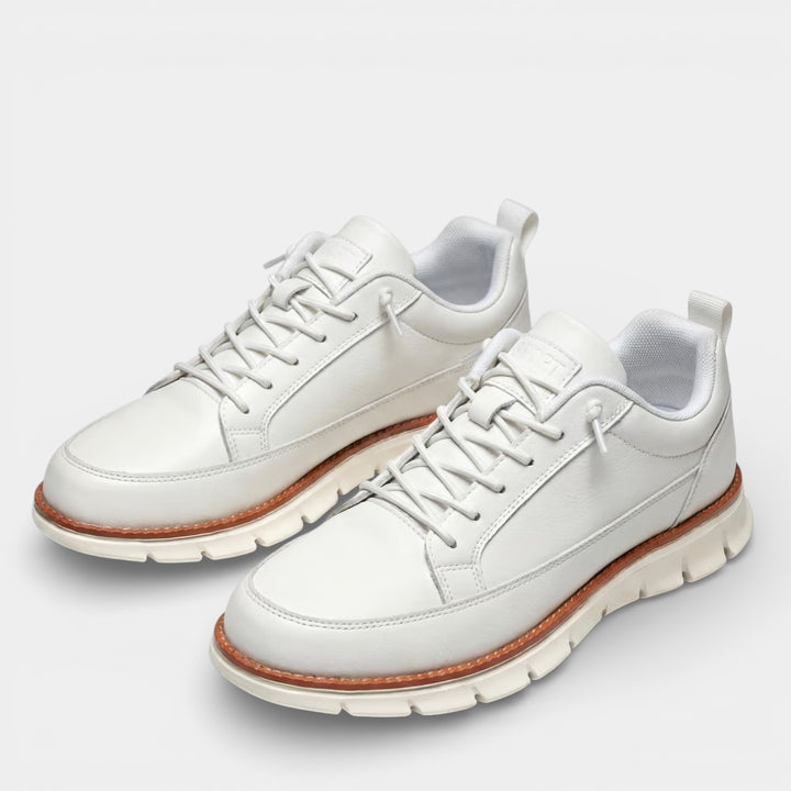 Herren Freizeitsneaker aus Canvas – Niedriger Schnitt mit Schnürung